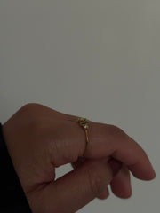 GEMMA Ring