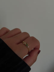 GEMMA Ring